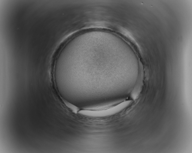 X0000088161312200705291903