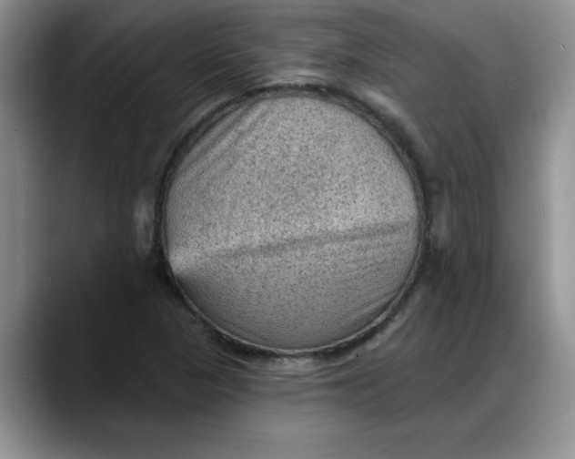 X0000088161313200705291903