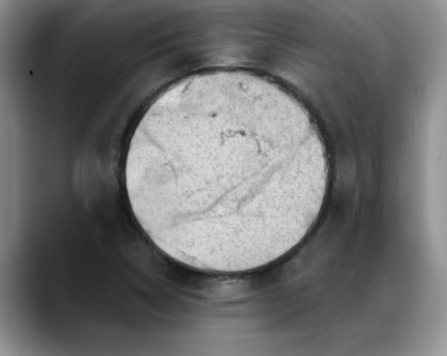 X0000088161314200705291903
