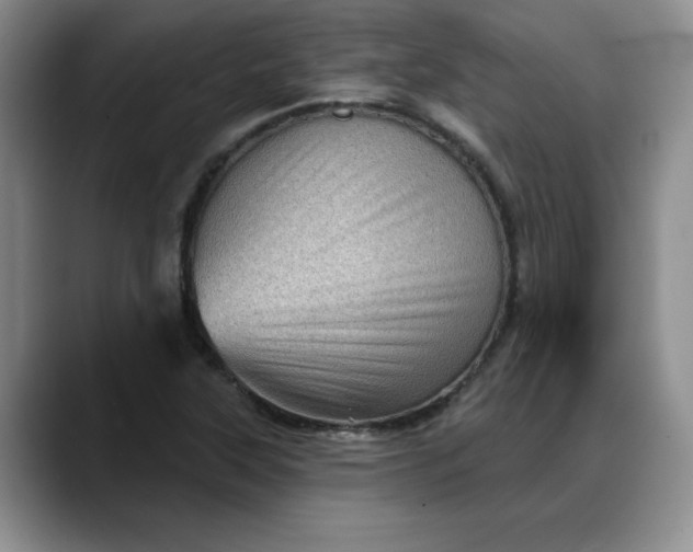 X0000088161315200705291903