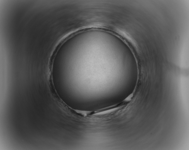 X0000088161316200705291903