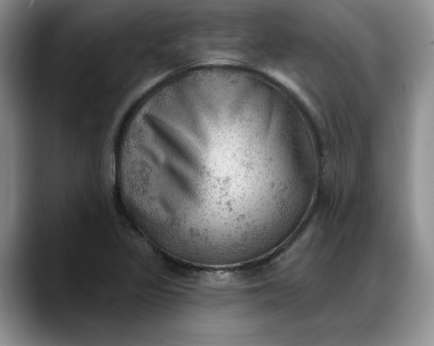 X0000088161317200705291903