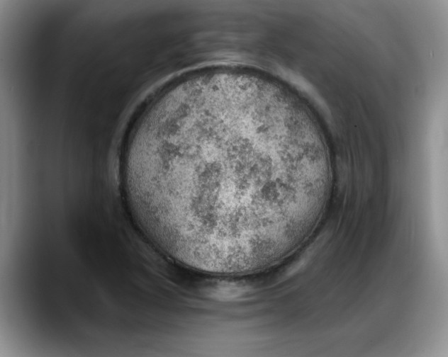 X0000088161318200705291903
