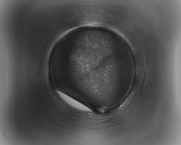 X0000088161319200705291903