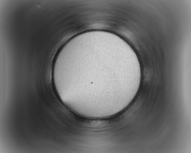 X0000088161322200705291903