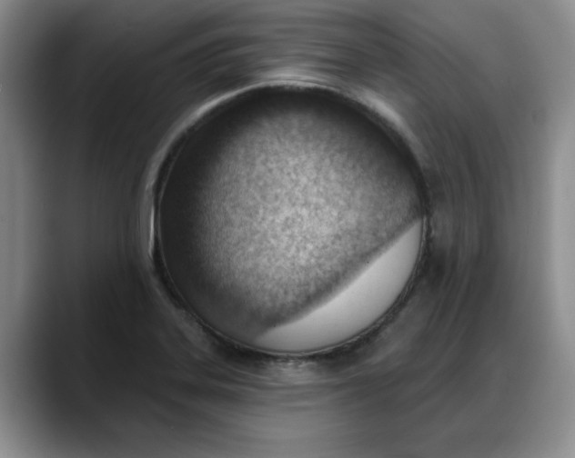 X0000088161323200705291903