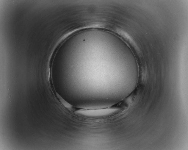 X0000088161324200705291903