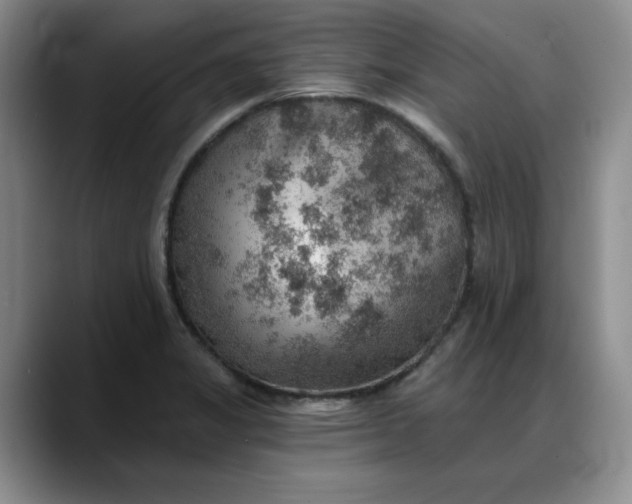X0000088161325200705291903