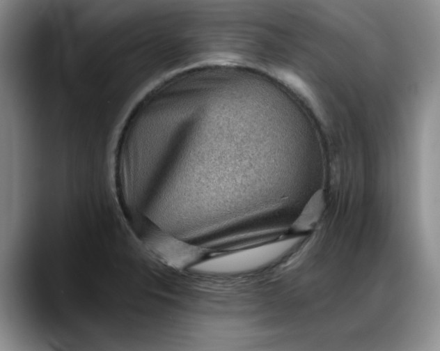 X0000088161326200705291903