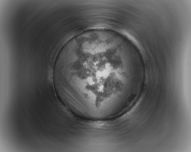 X0000088161329200705291903