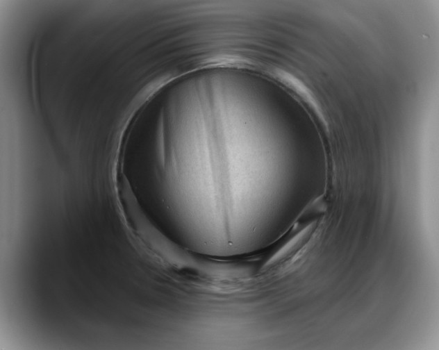 X0000088161330200705291903
