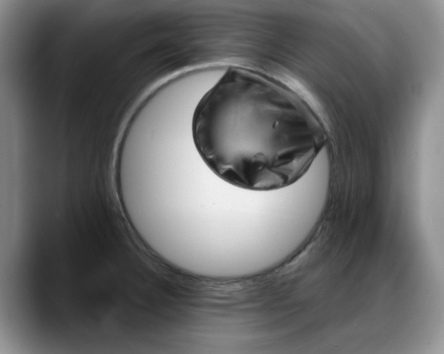 X0000088161332200705291903