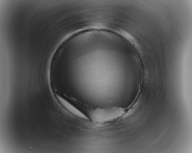 X0000088161334200705291903