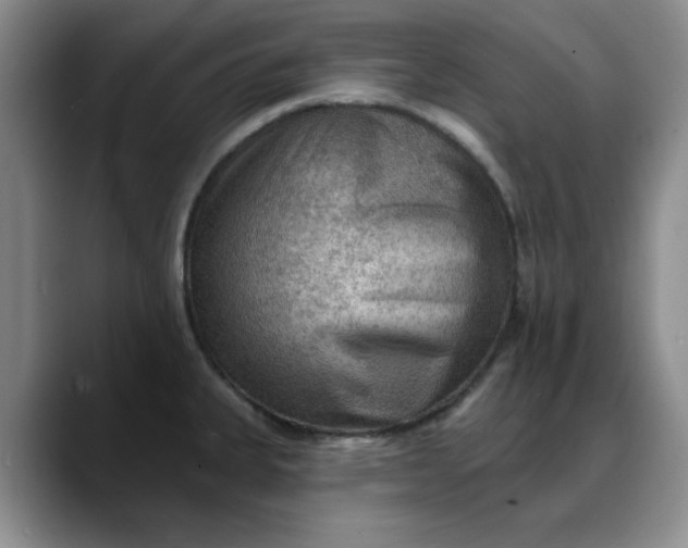 X0000088161335200705291903
