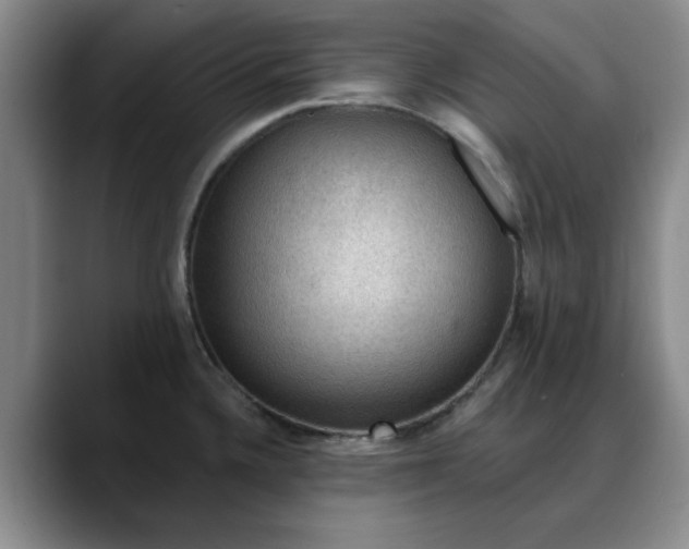 X0000088161336200705291903