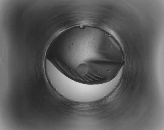 X0000088161338200705291903