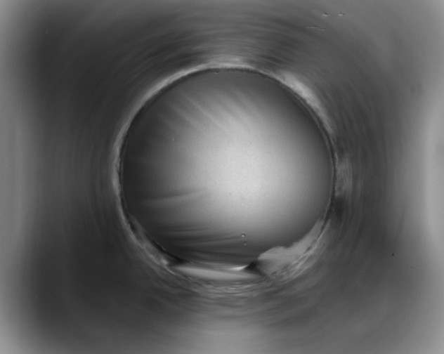 X0000088161342200705291903