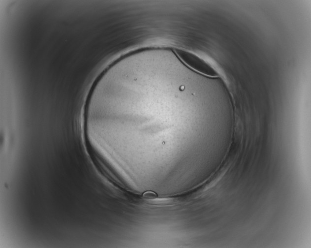X0000088161343200705291903