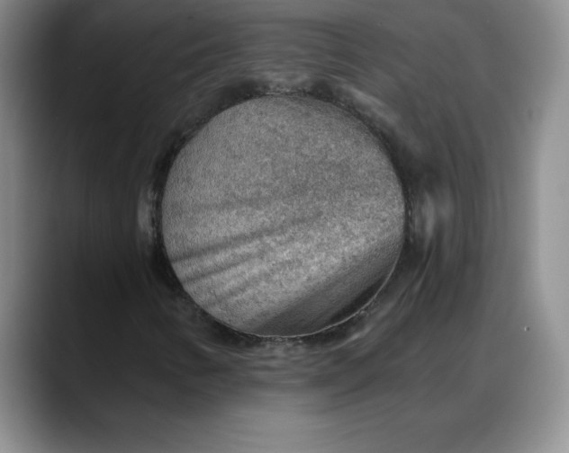 X0000088161346200705291903