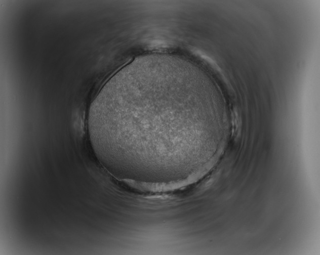 X0000088161348200705291903