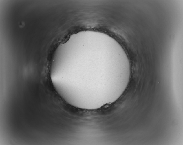 X0000088161349200705291903