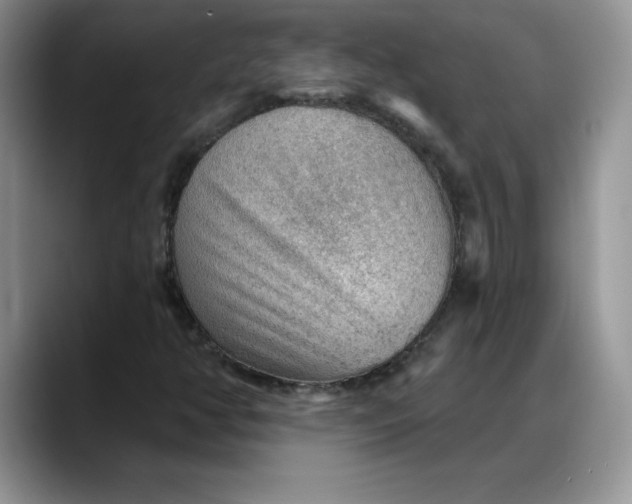 X0000088161350200705291903