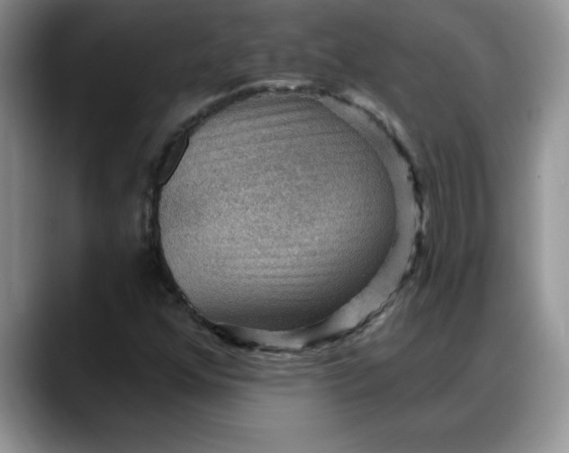 X0000088161352200705291903