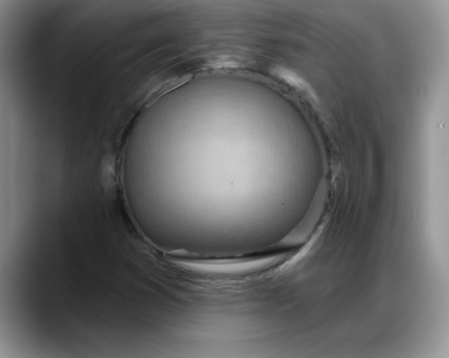 X0000088161353200705291903