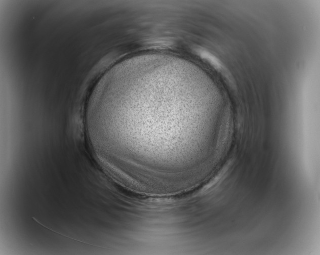 X0000088161354200705291903