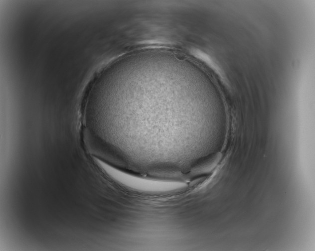 X0000088161357200705291903
