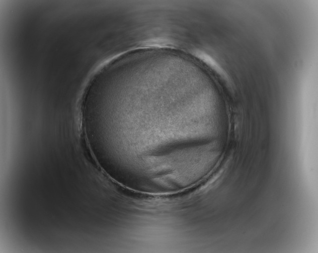 X0000088161358200705291903