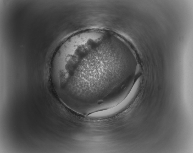 X0000088161359200705291903
