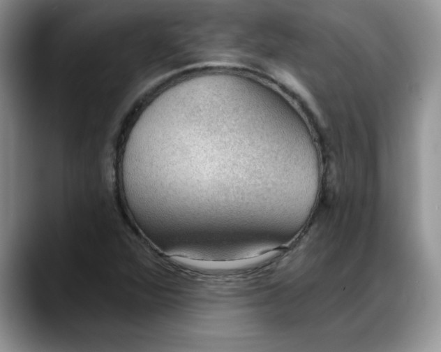 X0000088161360200705291903