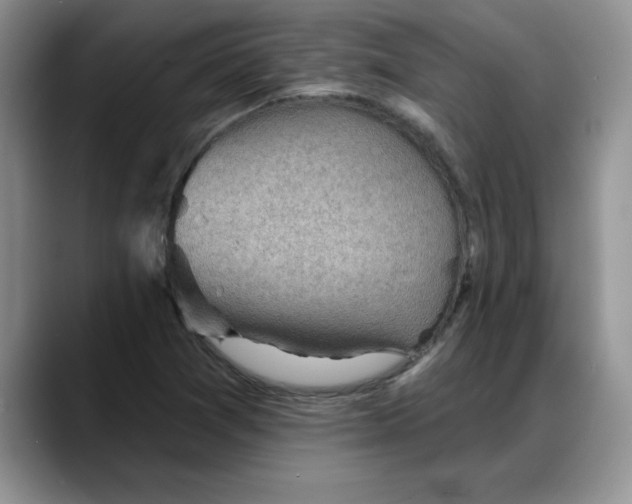 X0000088161361200705291903