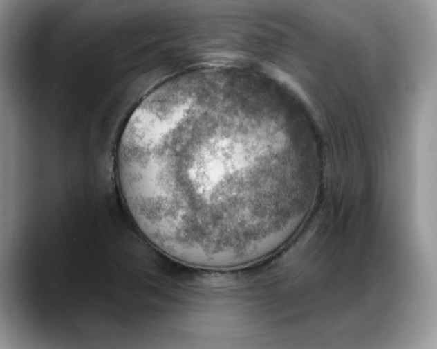 X0000088161362200705291903