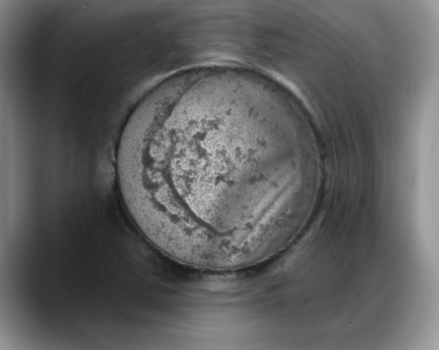 X0000088161363200705291903
