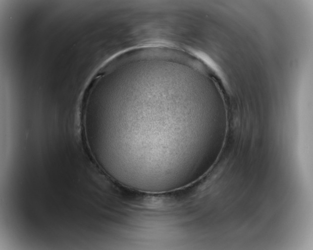 X0000088161364200705291903
