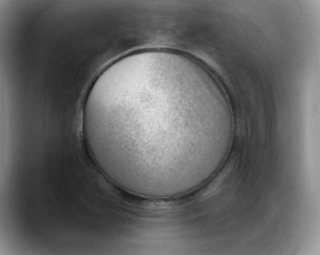 X0000088161366200705291903