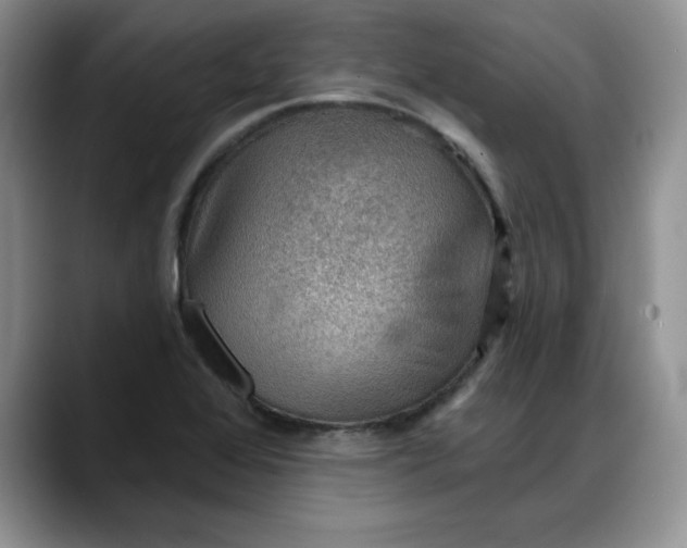 X0000088161368200705291902
