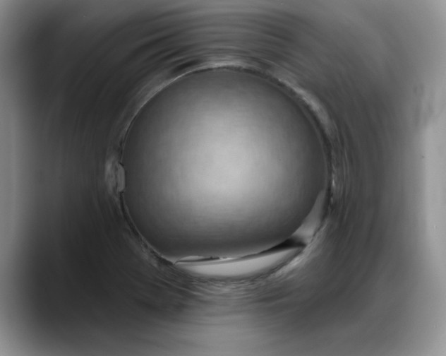 X0000088161369200705291902