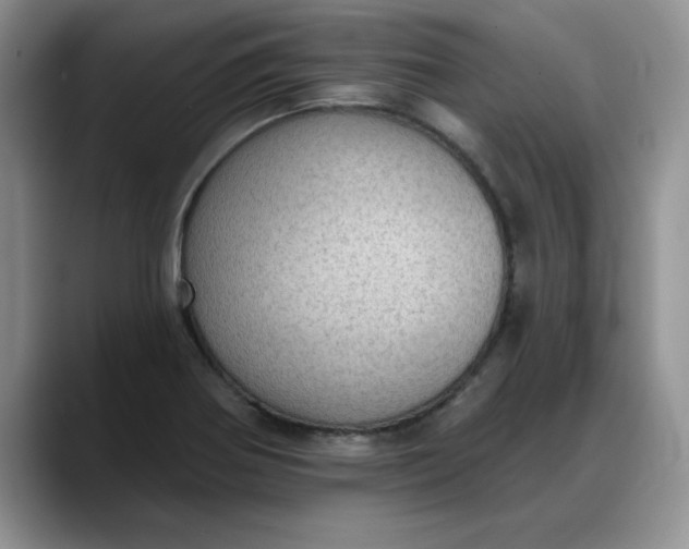 X0000088161370200705291902