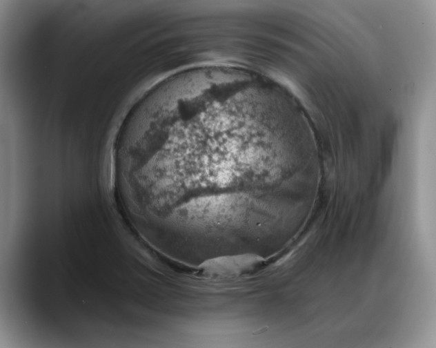 X0000088161371200705291902