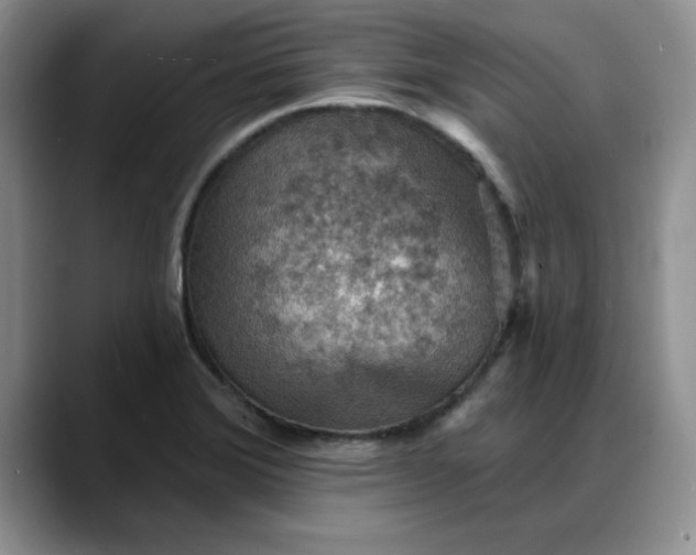X0000088161372200705291902