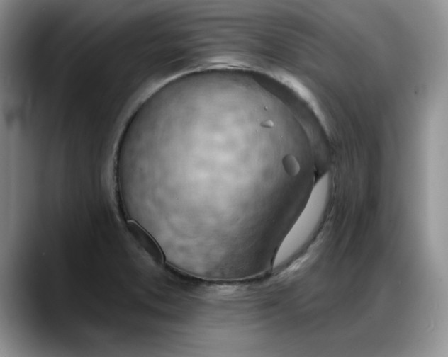 X0000088161373200705291902