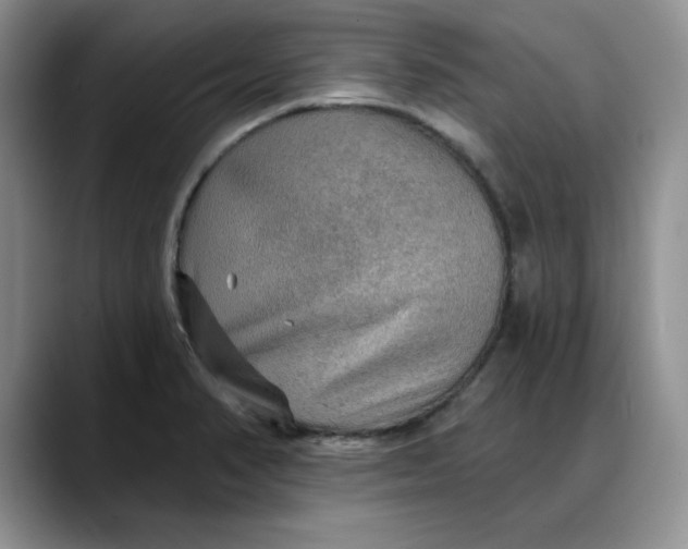 X0000088161374200705291902