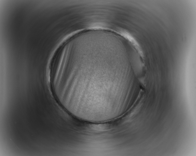 X0000088161376200705291902