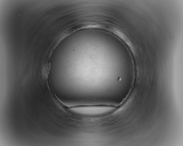 X0000088161377200705291902