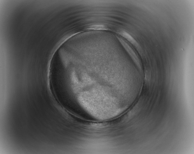 X0000088161378200705291902