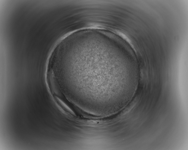 X0000088161379200705291902