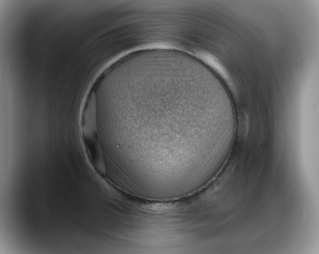 X0000088161380200705291902